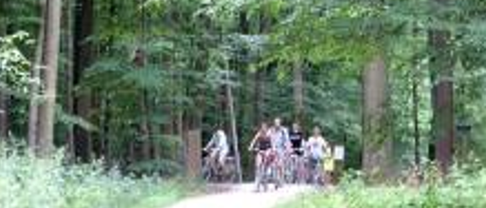 La forêt de Soignes : toute une histoire !
